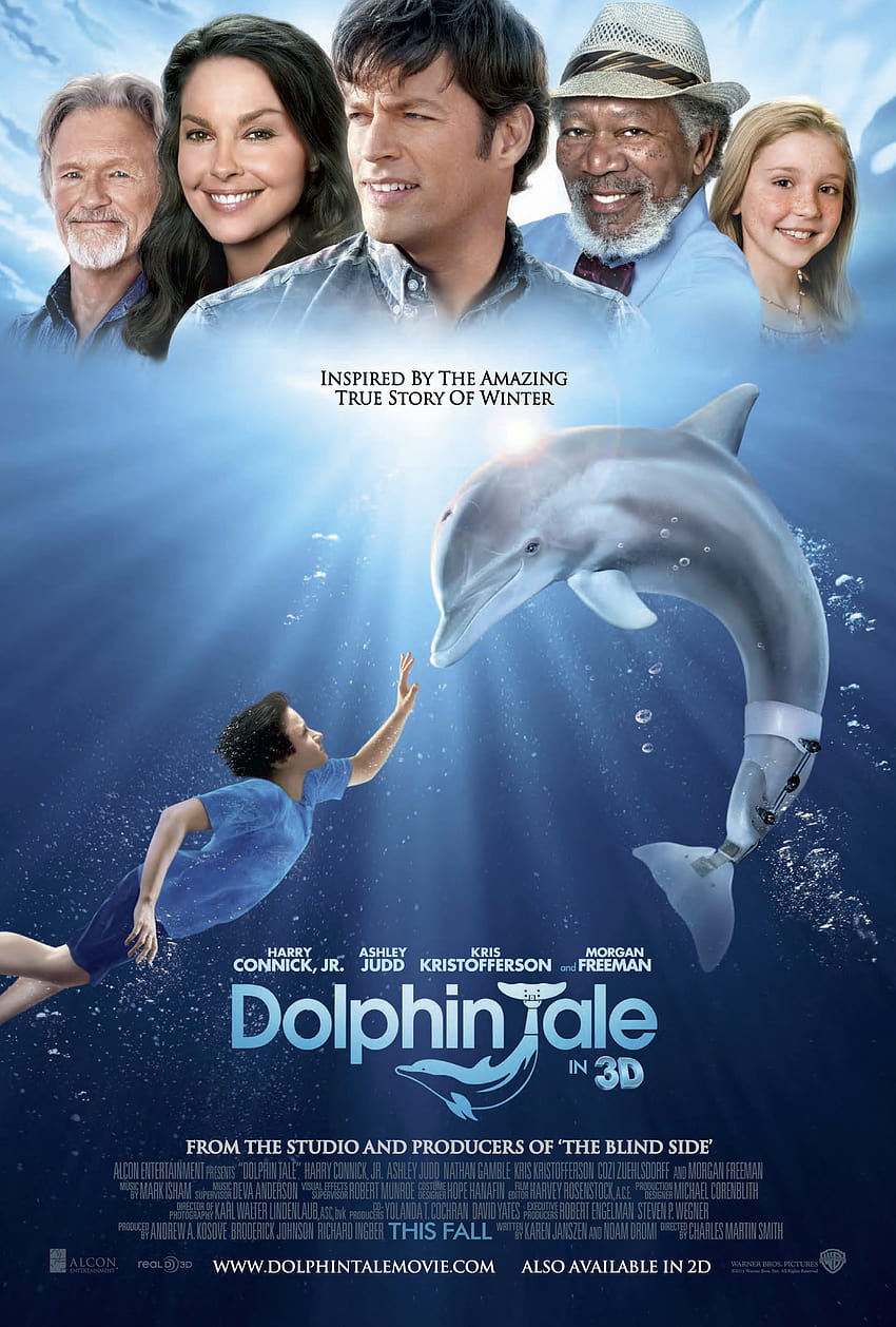 Dolphin tale movie characters HD phone wallpaper | Pxfuel