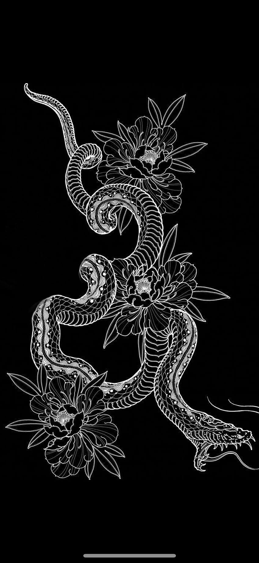 Japanese Snake, snake tattoo HD phone wallpaper