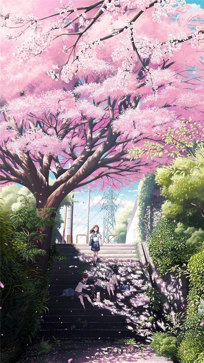 1080x1920 Anime Dreamy Girl Step, cherry anime blossom fondo de pantalla del teléfono