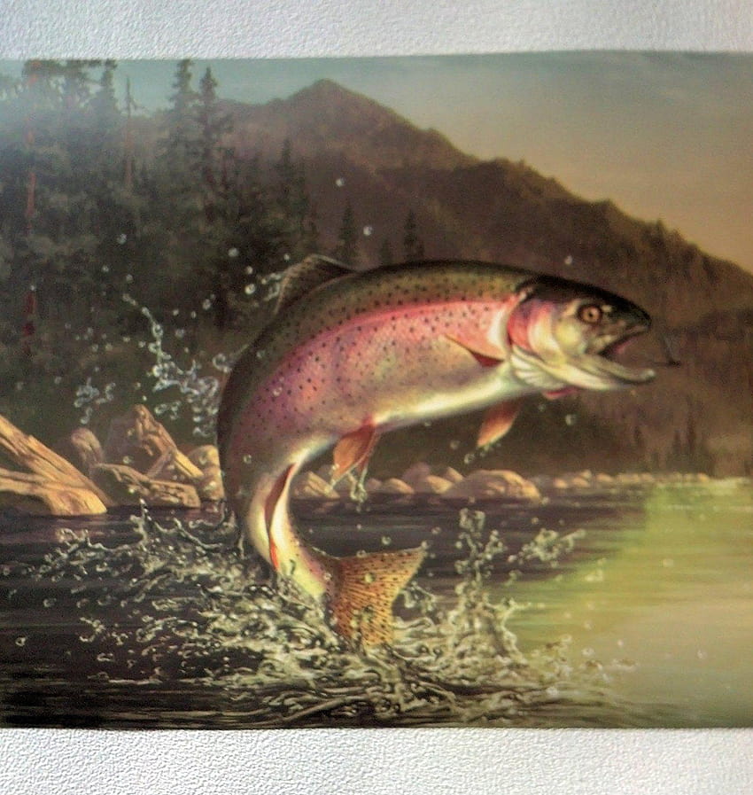 Fishing Rainbow Trout Border, memancing bass untuk android wallpaper ponsel HD