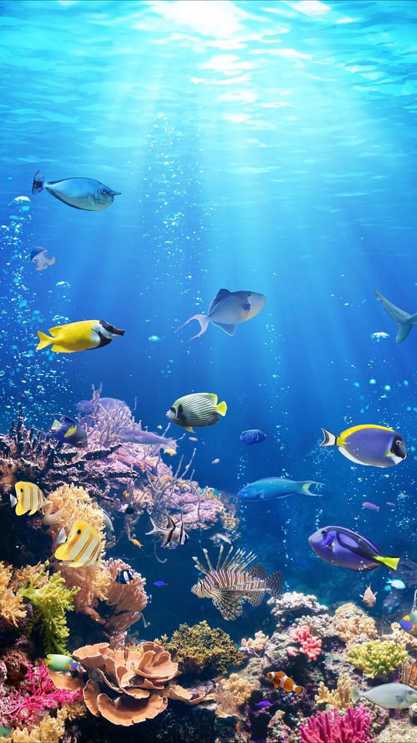 Vida submarina, dentro del océano. fondo de pantalla del teléfono