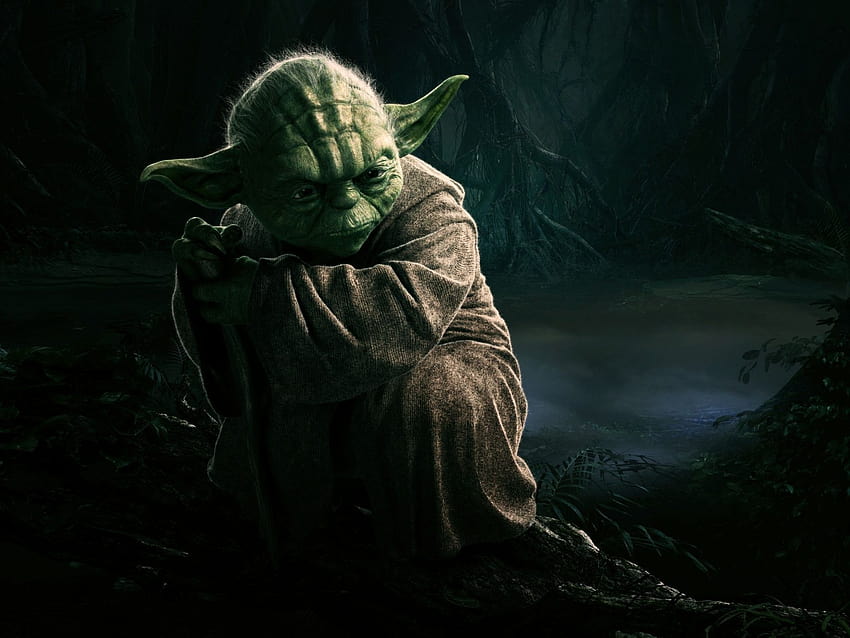 O mestre Yoda verde Yoda jedi Jedi veste as orelhas, yoda adulto papel de parede HD