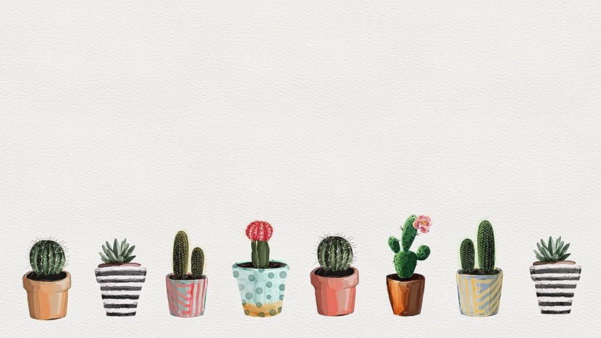 Cactus estetico, estetica del cactus dell'acquerello Sfondo HD
