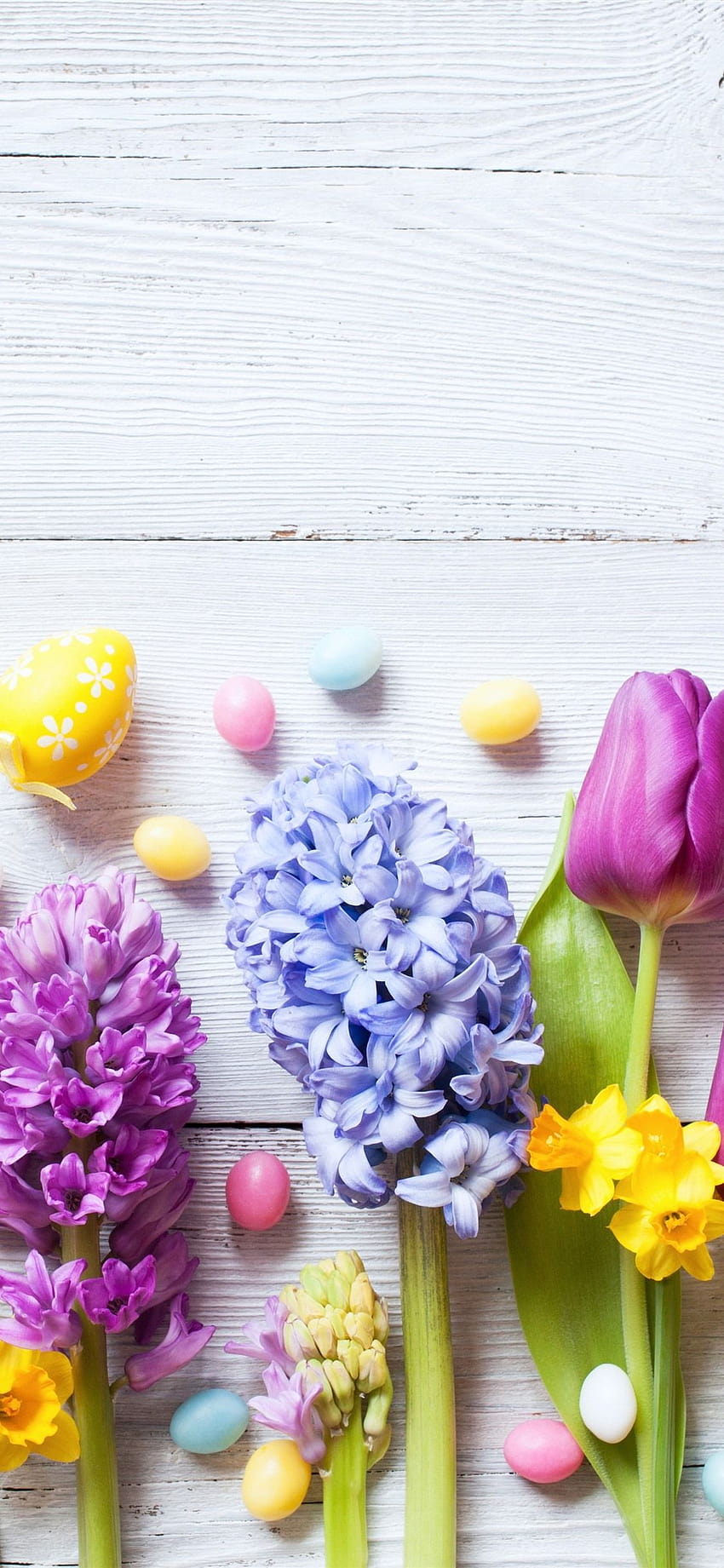 Pâques, fleurs colorées, jonquilles, tulipes, jacinthes, œufs 1125x2436 iPhone 11 Pro/XS/X, arrière-plan, tulipe de Pâques Fond d'écran de téléphone HD
