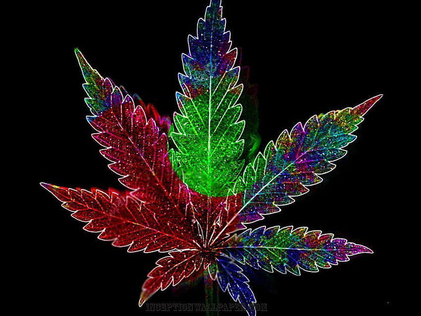 For > Trippy Weed Backgrounds Tumblr, chronic leaf HD wallpaper