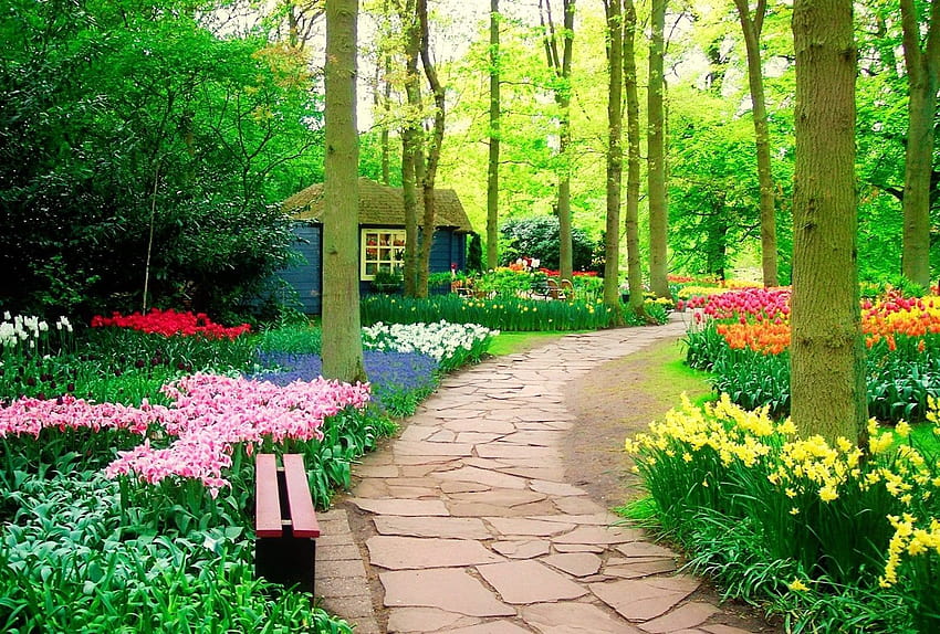 beautiful spring garden