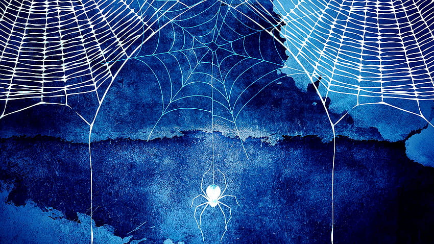 ハロウィーン クモの巣の背景、スパイダー ネット 高画質の壁紙