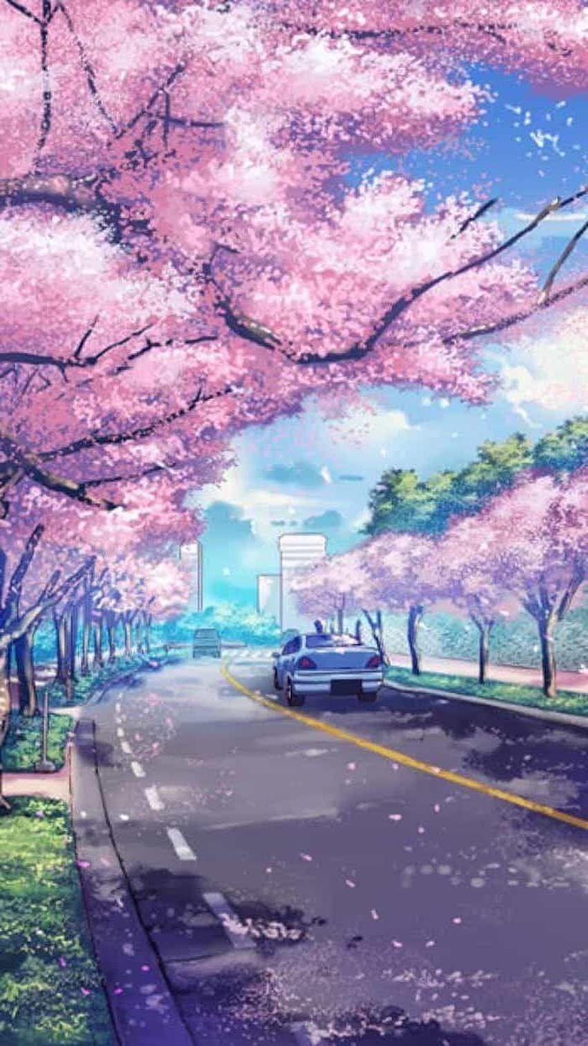 HD wallpaper: anime girl, japanese clothes, shrine, torii, sakura blossom |  Wallpaper Flare