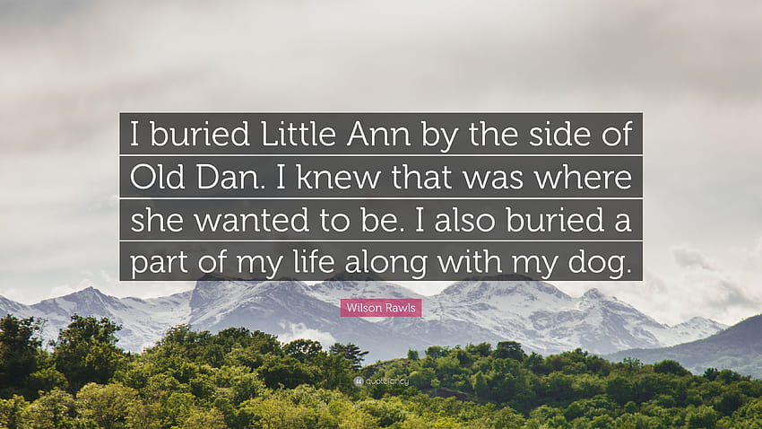 Wilson Rawls Quote: “I buried Little Ann by the side of Old Dan. I knew that was where she wanted to be. I also buried a part of my life alon...” HD wallpaper