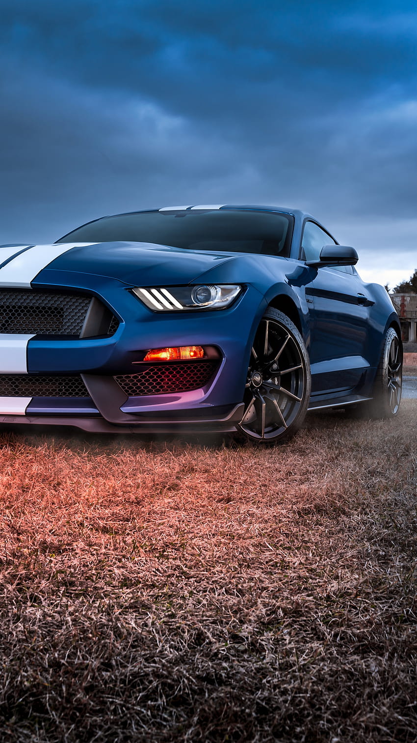 Ford Mustang Shelby GT500 , Muscle Cars, Autos, shelby gt500 iphone HD-Handy-Hintergrundbild