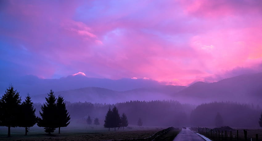 Misty Pink Sunset, pink sunset evening HD wallpaper