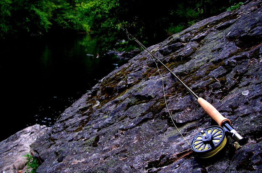 Trout Fly Fishing, pesca de trutas papel de parede HD