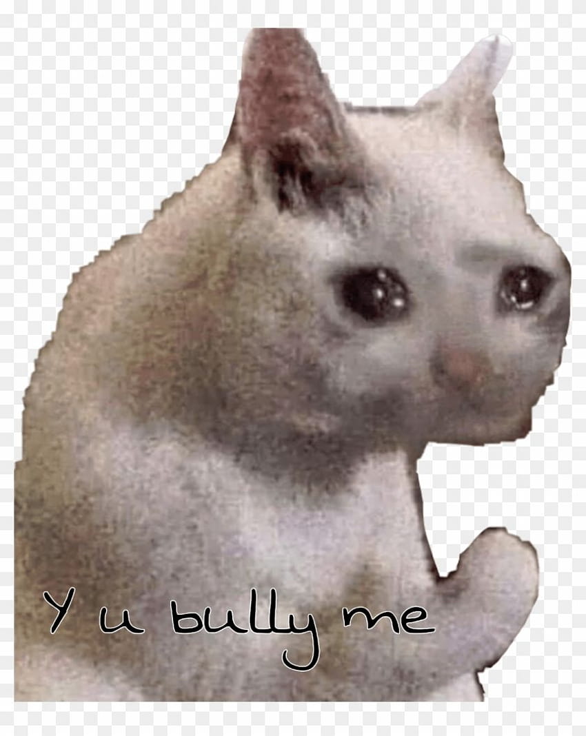Icona del meme del gatto triste, meme del gatto che piange Sfondo del telefono HD