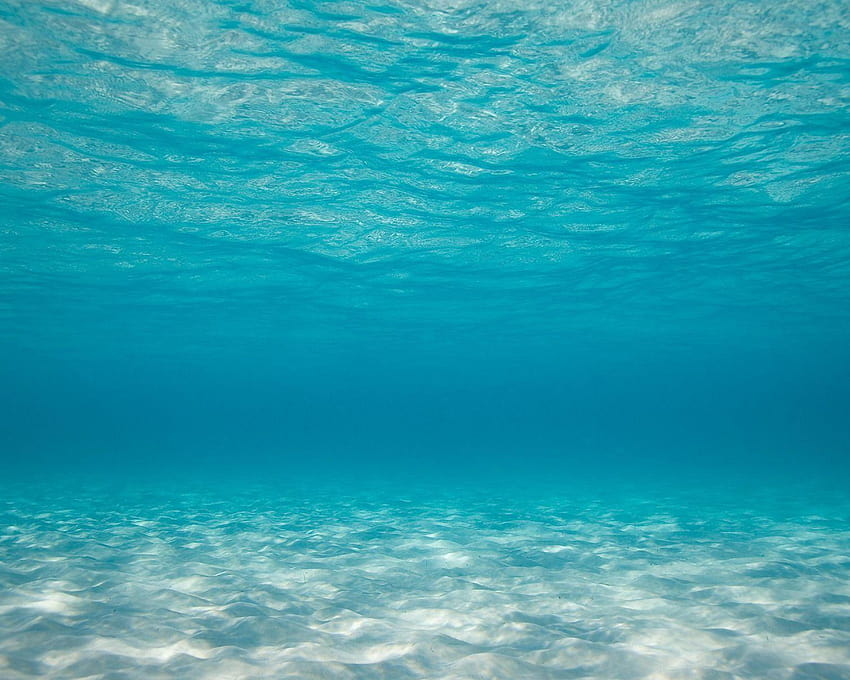 Unterwasserstrände Meeresboden Meeresboden Ozean [5120x4096] für Ihr Handy, Ihr Tablet und HD-Hintergrundbild