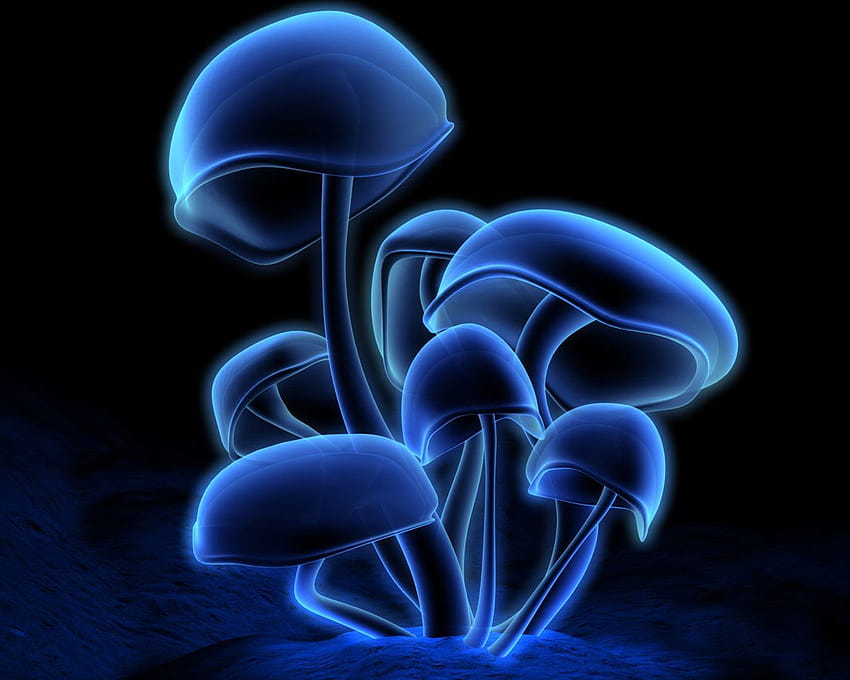 Épinglé sur Mushrooms: Fungus Among Us Fond d'écran HD