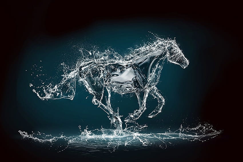 Horses Drops Water splash Water Animals HD wallpaper
