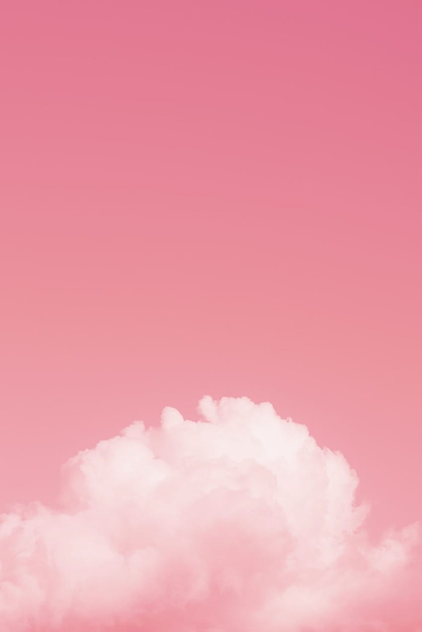 Pink : [50 ..., pink white HD phone wallpaper