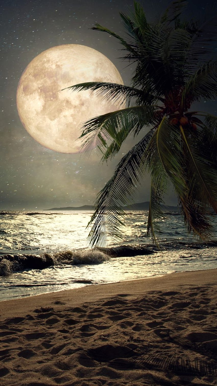Malam pantai yang indah, laut bulan wallpaper ponsel HD