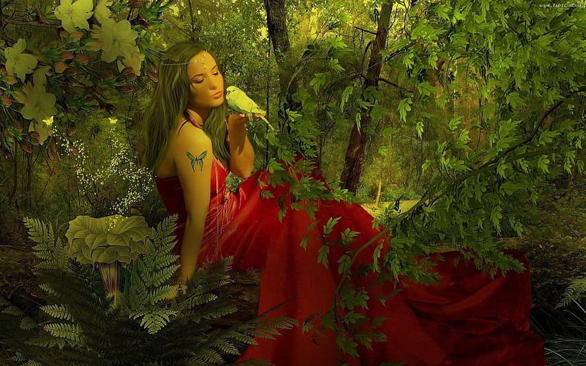 Fantasy art gothic trees forest nature birds mood fairy women, women and tree HD wallpaper