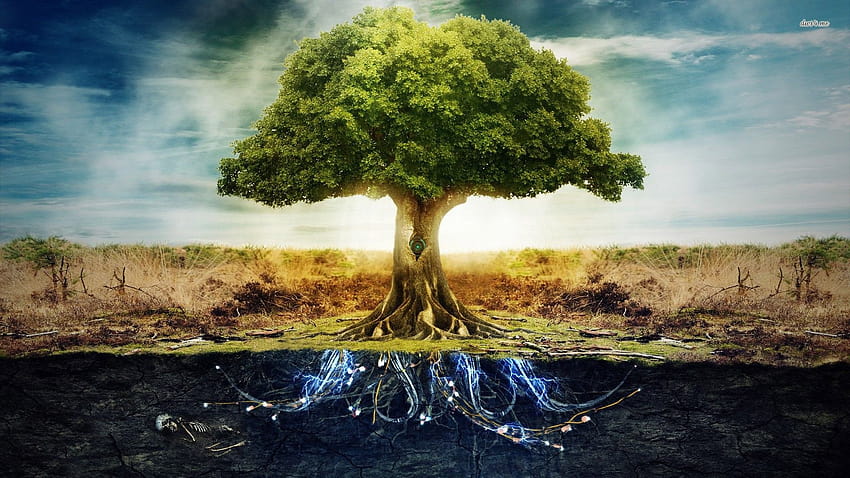 Premium Photo  Yggdrasil from norse mythology known for being the tree of  life