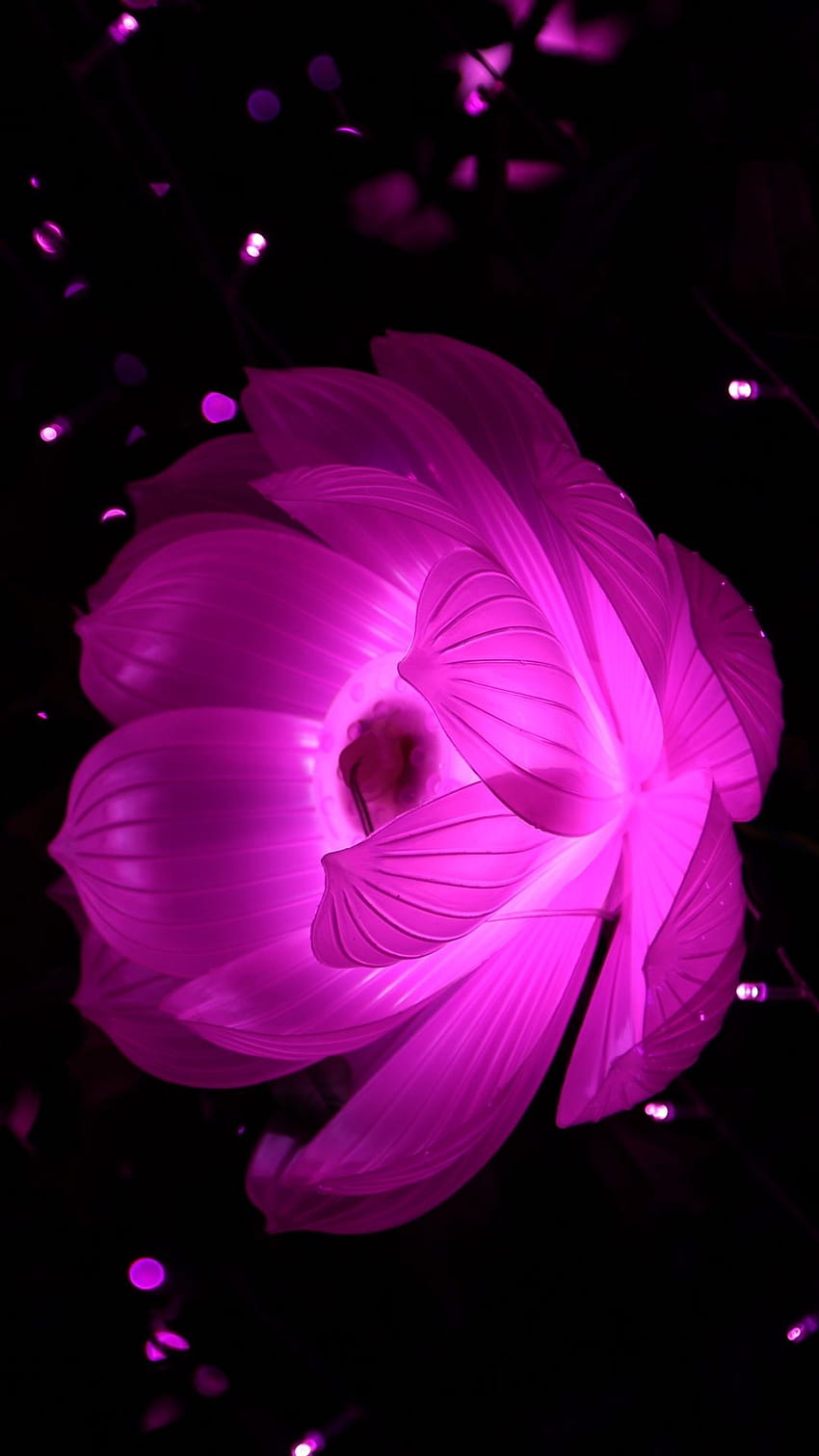 Pink And Black Flower posted by Christopher Sellers, dark flowers HD phone  wallpaper | Pxfuel