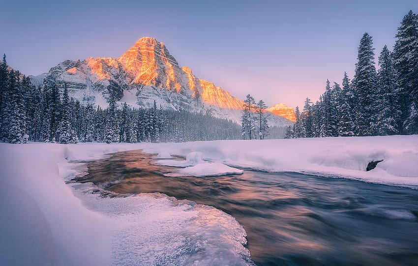 Alberta, Winter, Jasper National Park, Canadian Rockies, seção пейзажи, parques nacionais de inverno papel de parede HD