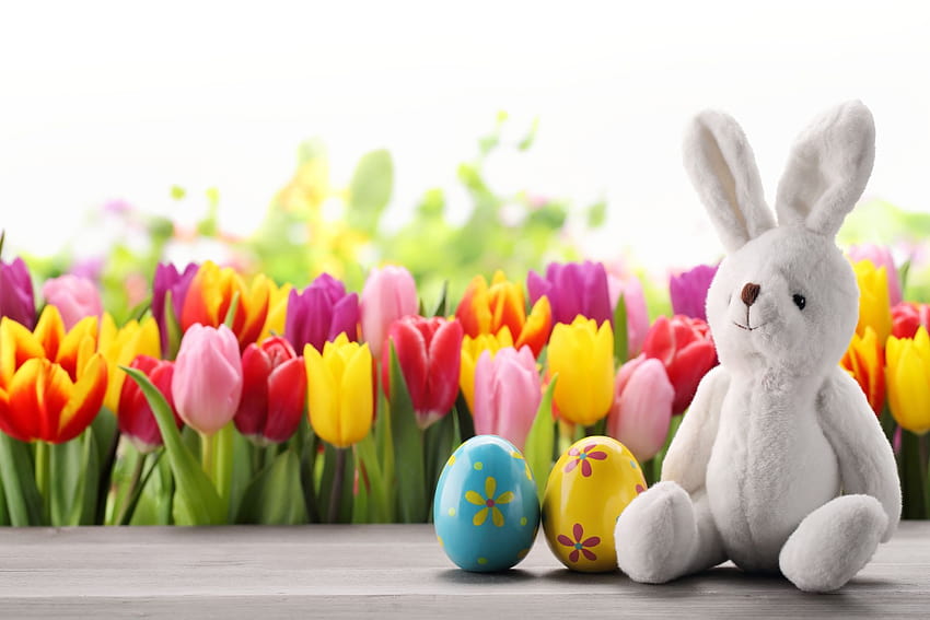 Easter Bunny, easter scene HD wallpaper | Pxfuel