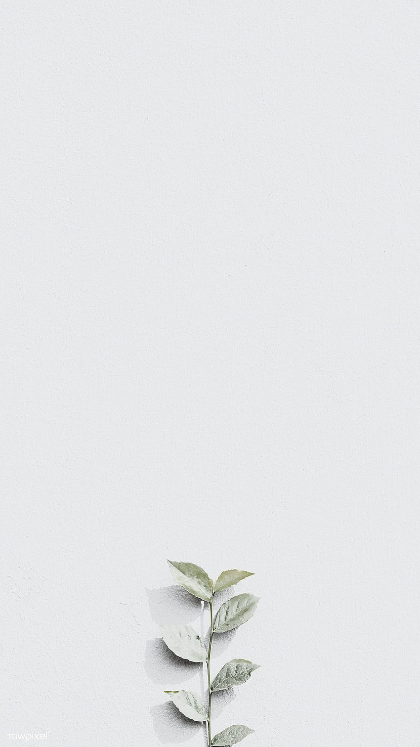Бял растителен клон върху сива тухлена стена в естествен светъл фон, мобилен, бял празен HD тапет за телефон