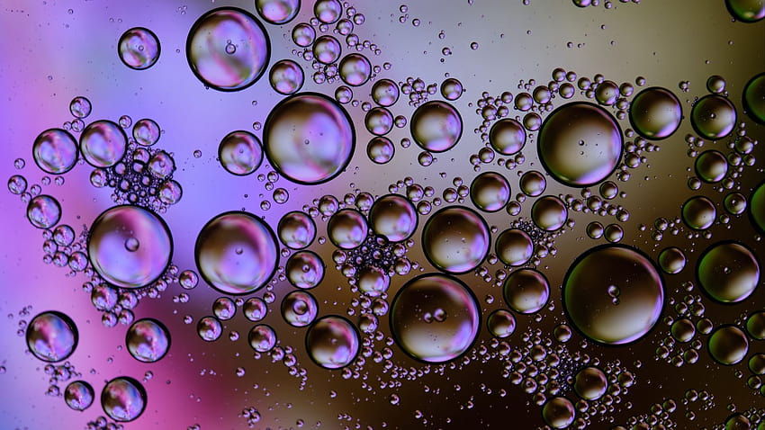 1920x1080 bubbles, circles, water, gradient, abstraction full , tv, f, backgrounds, bubbles water gradient HD wallpaper