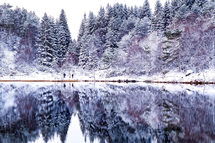 : landscape, forest, lake, water, nature, reflection, sky, snow, winter, branch, ice, Norway, morning, frost, river, Sony, wilderness, spring, fir, Bank, zing, Bergen, tree, leaf, mountain, plant, woods, watercourse, sonyslta58, tre, woods pine winter HD wallpaper