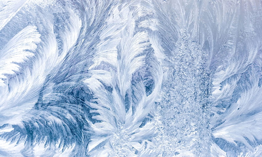 Pattern frost glass frost ... afari, winter glass HD wallpaper