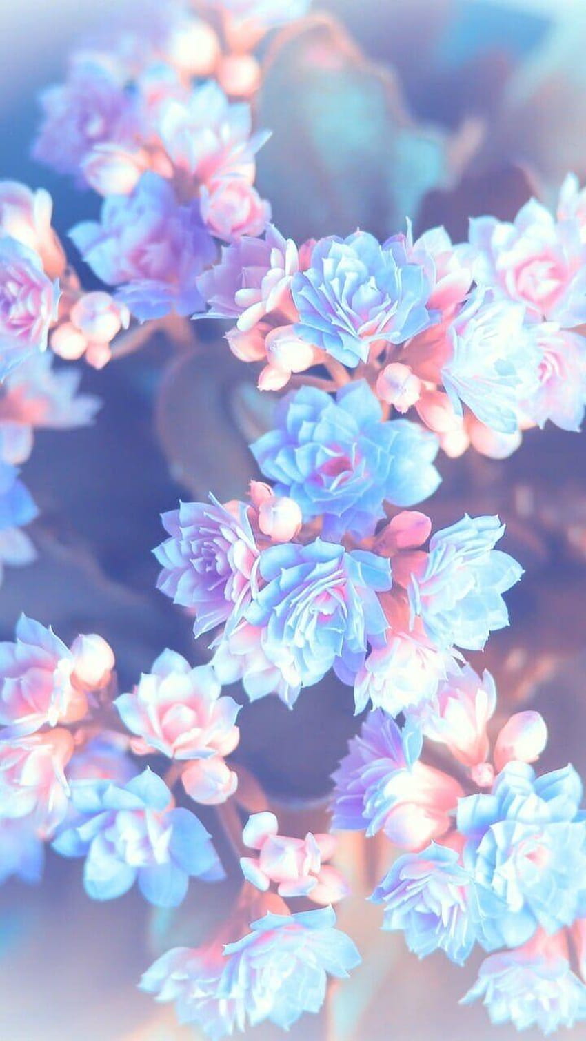 Blue Aesthetic Flower, aesthetic flowers HD phone wallpaper