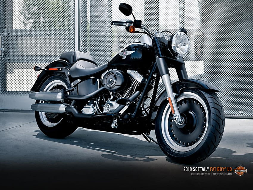 grubas Harley Davidson Tapeta HD