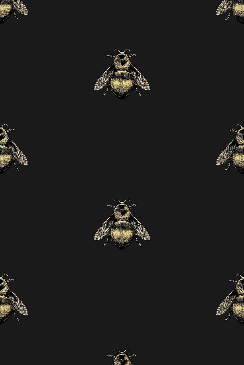 This large scale bee hovers on a solid ground with his nose to the, amoled napoleon HD phone wallpaper