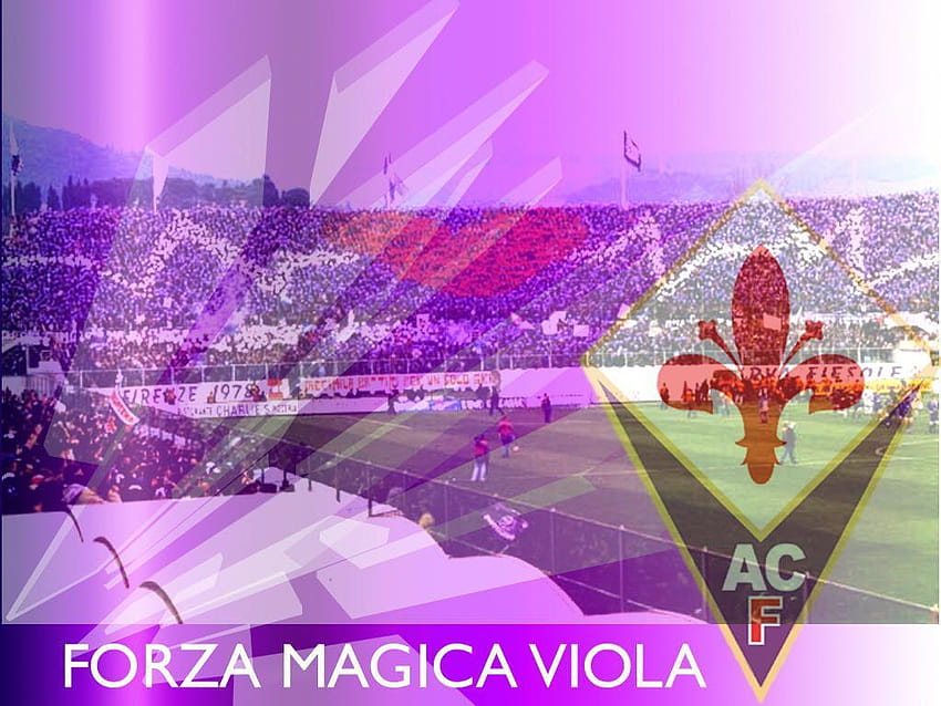 ACF Fiorentina , ACF Fiorentina , ACF Fiorentina HD wallpaper