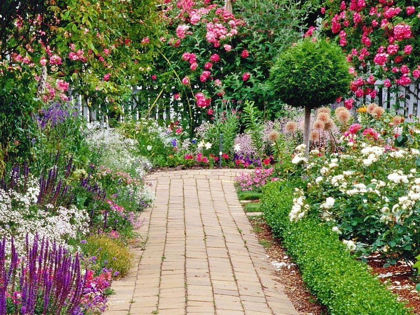Flower Garden Backgrounds Group, belo jardim de rosas papel de parede HD
