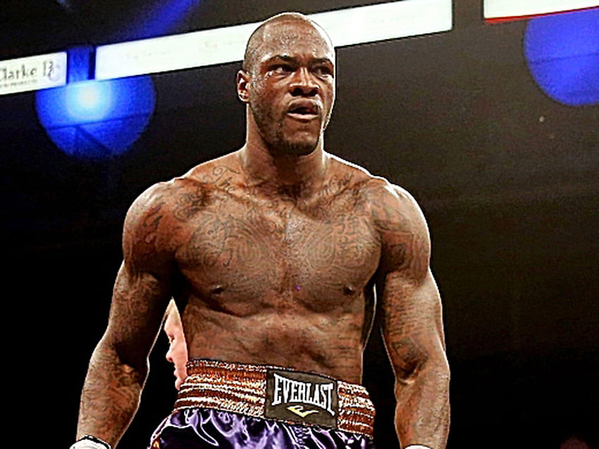 Deontay Wilder leads parade of big hitters with tilt at the HD wallpaper