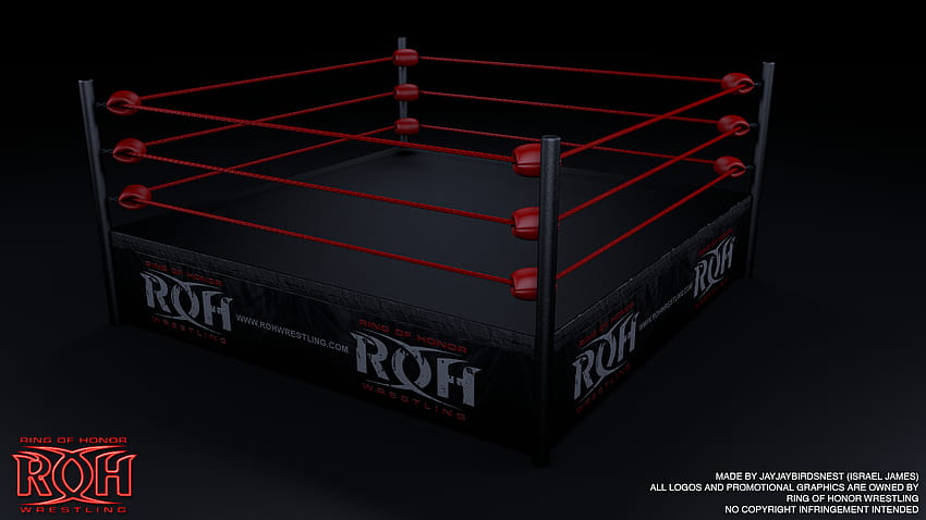 Ring of Honor 3D Wrestling Ring by jayjaybirdsnest [1920x1080] for your , Mobile & Tablet HD wallpaper