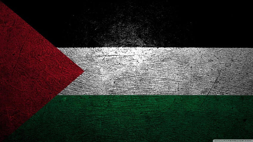 Bendera Palestina, bendera palestina Wallpaper HD