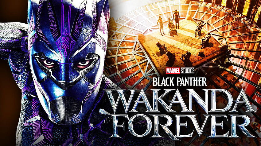 Black Panther 2 Leak: Set Video Reveals Wakanda Location, black panther  wakanda forever 2022 HD wallpaper | Pxfuel