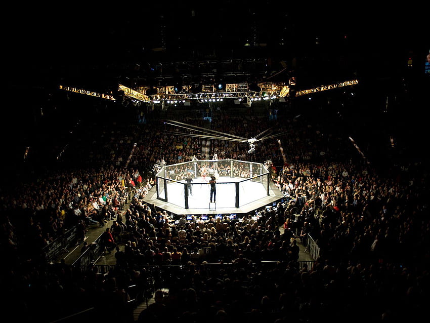 UFC Arena, ufc cage HD wallpaper