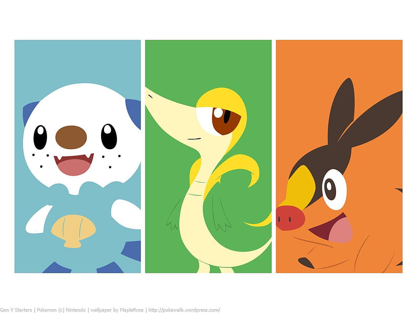 Pokemon gen 5 starters. Fond d'écran HD