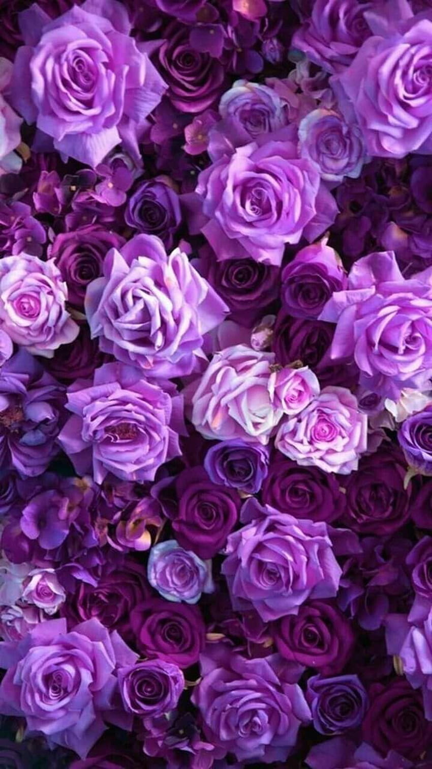 Best Aesthetic Purple Flowers, flower aesthetic HD phone wallpaper | Pxfuel