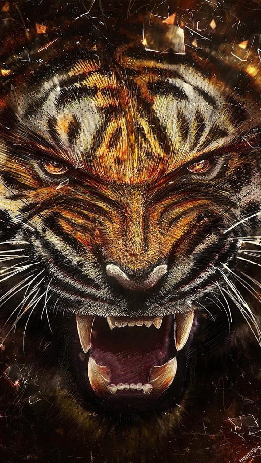 AMOLED Animal, harimau amoled HD phone wallpaper