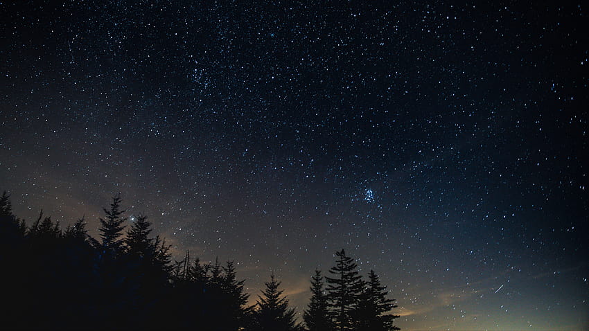 Starry sky night trees night landscape [3840x2160] https://ift.tt, blue night sky HD wallpaper