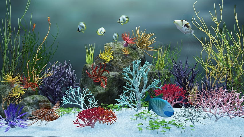 水族館ベルゲラック Windows 7、3D ベルゲラック 高画質の壁紙