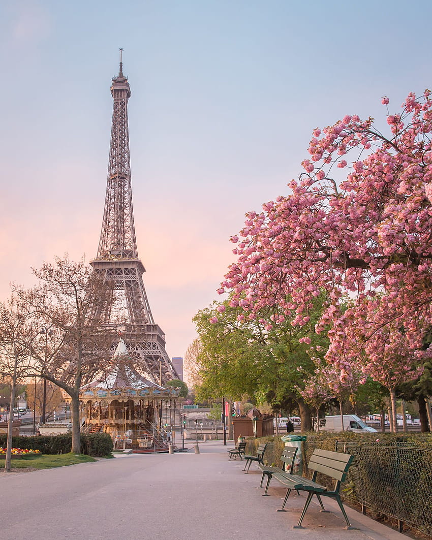 Torre Eiffel París ...pinterest, francia primavera fondo de pantalla del teléfono