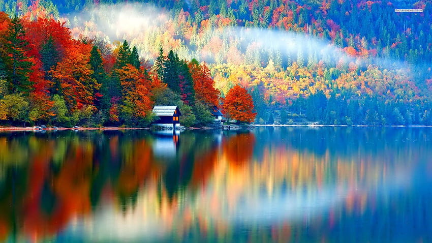 Of Fall posted by Ryan Mercado, magical autumn HD wallpaper