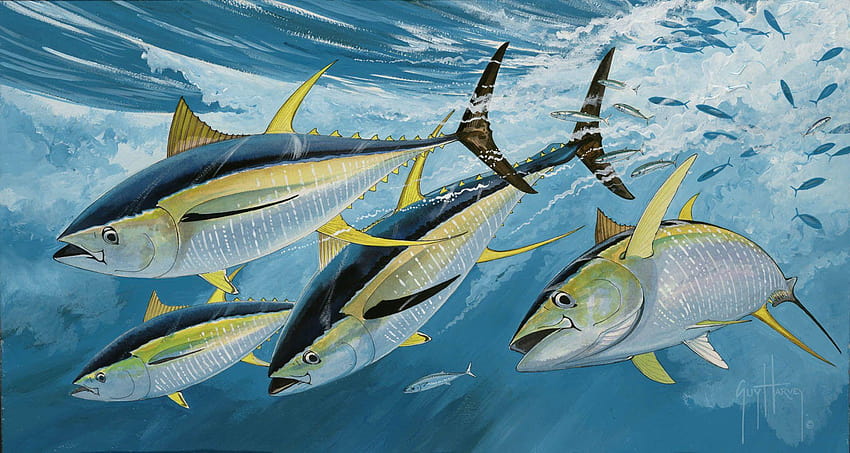 Mách bạn nhiều hơn 79 hình nền monsieur tuna tuyệt vời nhất  thdonghoadian