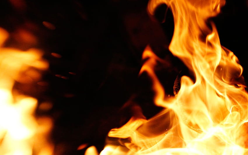5 Latar Belakang Api Terbaik Yang Bergerak di Pinggul, animasi api api Wallpaper HD